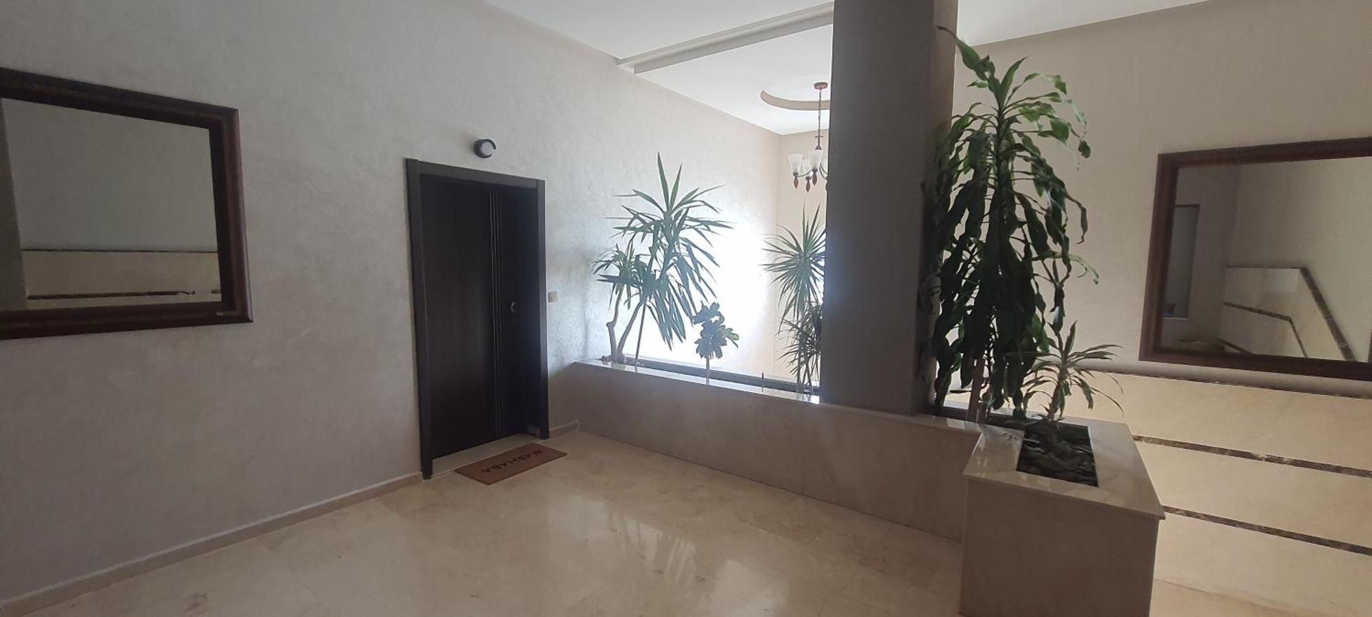 Le Petit Bijou Daire Tétouan Dış mekan fotoğraf